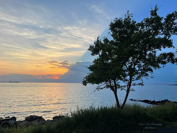 Split Sunset at Treehenge